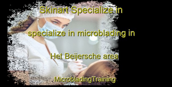 Skinart Specialize in specialize in microblading in Het Beijersche area | #MicrobladingTraining #MicrobladingClasses #SkinartTraining-Netherlands