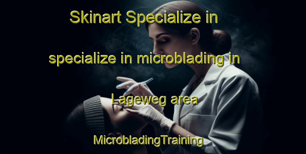 Skinart Specialize in specialize in microblading in Lageweg area | MicrobladingTraining | MicrobladingClasses | SkinartTraining-Netherlands