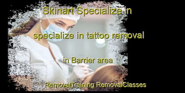 Skinart Specialize in specialize in tattoo removal in Barrier area | #RemovalTraining #RemovalClasses #SkinartTraining-Netherlands