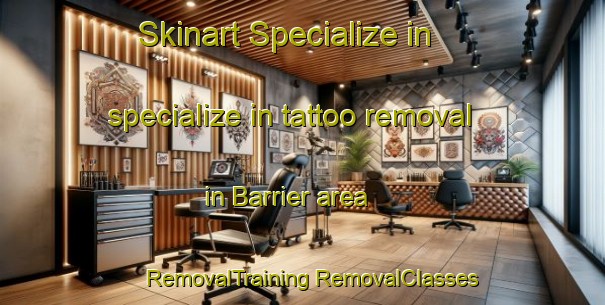 Skinart Specialize in specialize in tattoo removal in Barrier area | #RemovalTraining #RemovalClasses #SkinartTraining-Netherlands