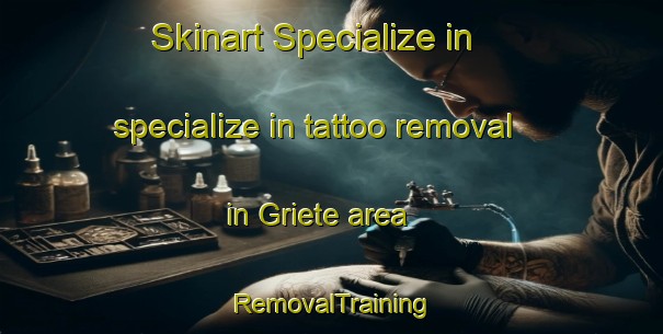 Skinart Specialize in specialize in tattoo removal in Griete area | RemovalTraining | RemovalClasses | SkinartTraining-Netherlands