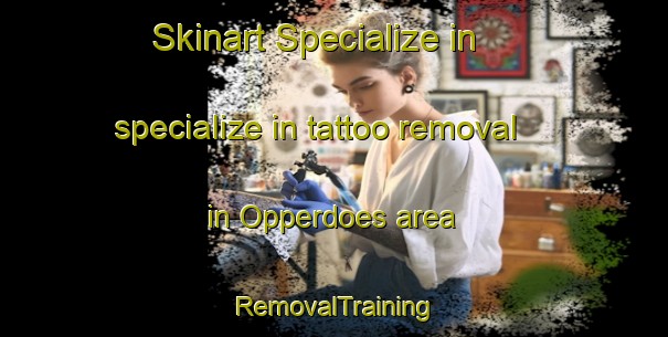 Skinart Specialize in specialize in tattoo removal in Opperdoes area | RemovalTraining | RemovalClasses | SkinartTraining-Netherlands