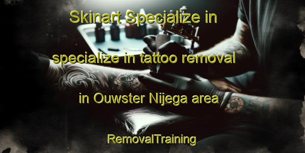 Skinart Specialize in specialize in tattoo removal in Ouwster Nijega area | RemovalTraining | RemovalClasses | SkinartTraining-Netherlands