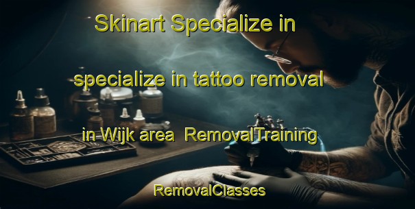Skinart Specialize in specialize in tattoo removal in Wijk area | RemovalTraining | RemovalClasses | SkinartTraining-Netherlands