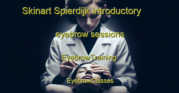 Skinart Spierdijk introductory eyebrow sessions | EyebrowTraining | EyebrowClasses | SkinartTraining-Netherlands