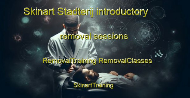 Skinart Stadterij introductory removal sessions | #RemovalTraining #RemovalClasses #SkinartTraining-Netherlands