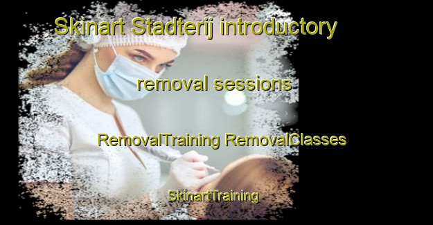 Skinart Stadterij introductory removal sessions | #RemovalTraining #RemovalClasses #SkinartTraining-Netherlands