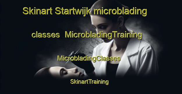 Skinart Startwijk microblading classes | MicrobladingTraining | MicrobladingClasses | SkinartTraining-Netherlands