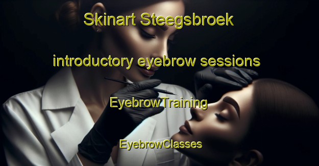 Skinart Steegsbroek introductory eyebrow sessions | EyebrowTraining | EyebrowClasses | SkinartTraining-Netherlands