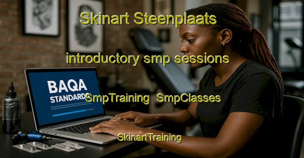 Skinart Steenplaats introductory smp sessions | SmpTraining | SmpClasses | SkinartTraining-Netherlands