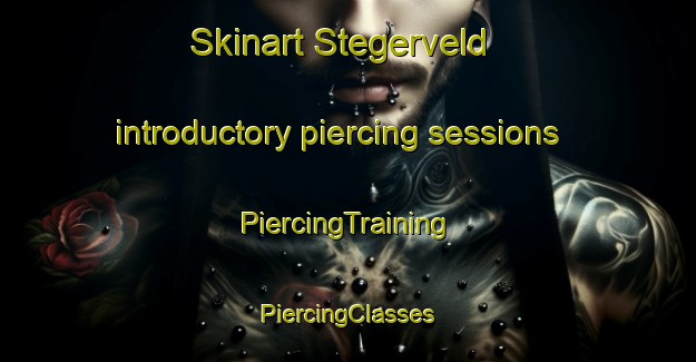 Skinart Stegerveld introductory piercing sessions | #PiercingTraining #PiercingClasses #SkinartTraining-Netherlands