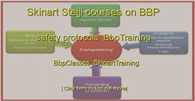 Skinart Steijl courses on BBP safety protocols | BbpTraining | BbpClasses | SkinartTraining-Netherlands