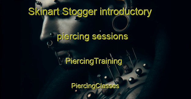 Skinart Stogger introductory piercing sessions | #PiercingTraining #PiercingClasses #SkinartTraining-Netherlands