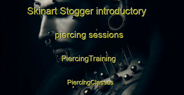 Skinart Stogger introductory piercing sessions | PiercingTraining | PiercingClasses | SkinartTraining-Netherlands