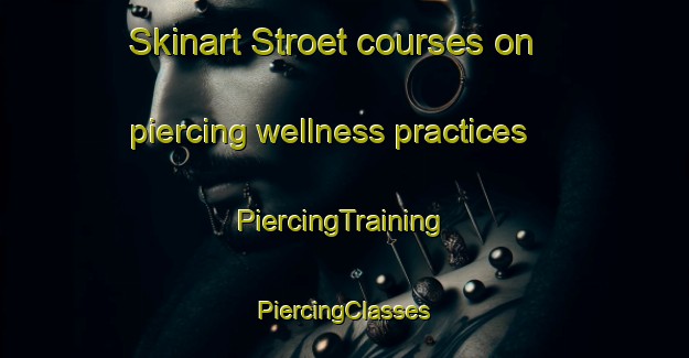 Skinart Stroet courses on piercing wellness practices | #PiercingTraining #PiercingClasses #SkinartTraining-Netherlands