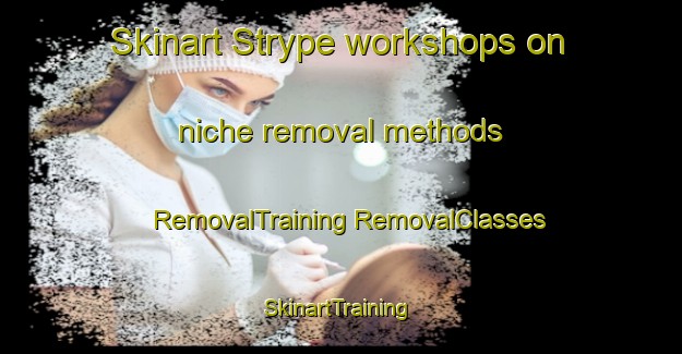 Skinart Strype workshops on niche removal methods | #RemovalTraining #RemovalClasses #SkinartTraining-Netherlands