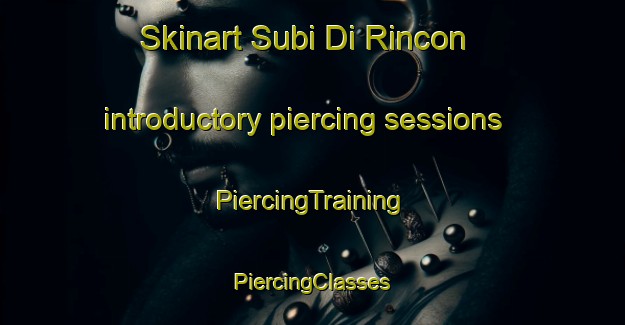 Skinart Subi Di Rincon introductory piercing sessions | #PiercingTraining #PiercingClasses #SkinartTraining-Netherlands