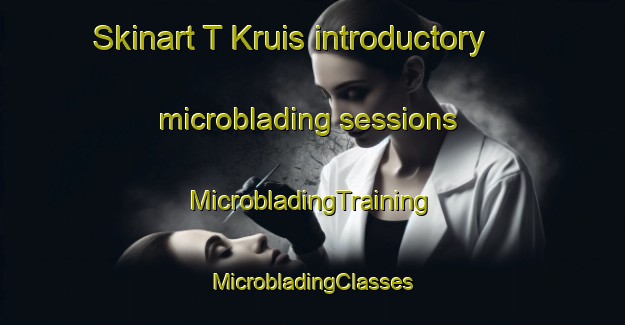 Skinart T Kruis introductory microblading sessions | #MicrobladingTraining #MicrobladingClasses #SkinartTraining-Netherlands