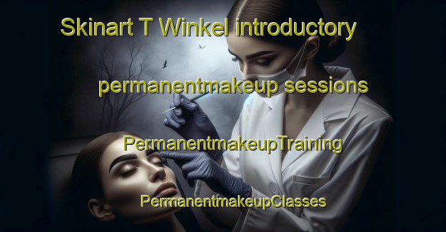 Skinart T Winkel introductory permanentmakeup sessions | #PermanentmakeupTraining #PermanentmakeupClasses #SkinartTraining-Netherlands