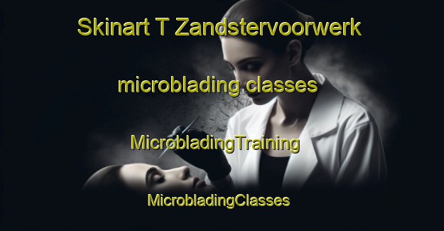 Skinart T Zandstervoorwerk microblading classes | MicrobladingTraining | MicrobladingClasses | SkinartTraining-Netherlands