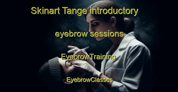 Skinart Tange introductory eyebrow sessions | EyebrowTraining | EyebrowClasses | SkinartTraining-Netherlands