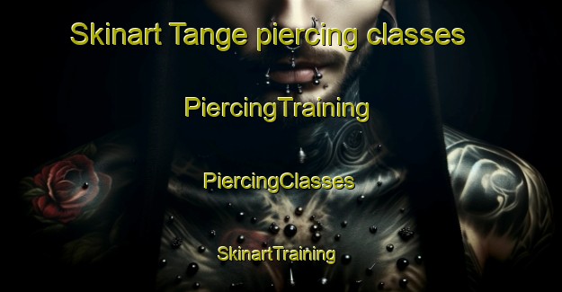 Skinart Tange piercing classes | #PiercingTraining #PiercingClasses #SkinartTraining-Netherlands