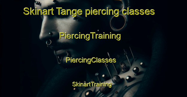 Skinart Tange piercing classes | PiercingTraining | PiercingClasses | SkinartTraining-Netherlands