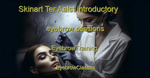 Skinart Ter Aalst introductory eyebrow sessions | EyebrowTraining | EyebrowClasses | SkinartTraining-Netherlands