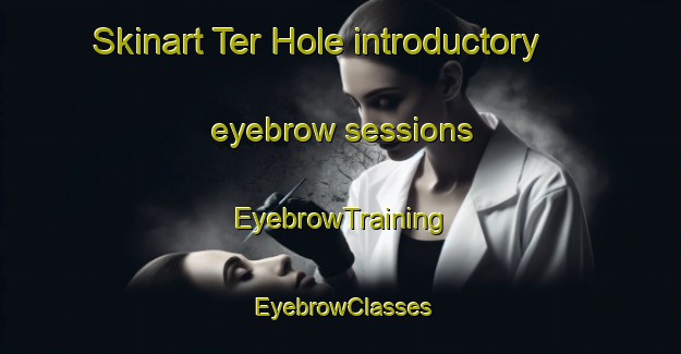 Skinart Ter Hole introductory eyebrow sessions | EyebrowTraining | EyebrowClasses | SkinartTraining-Netherlands