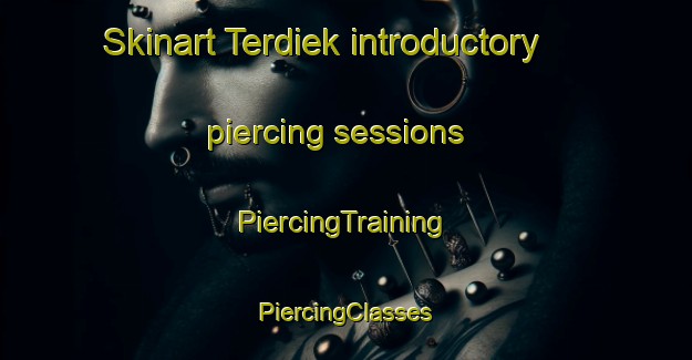 Skinart Terdiek introductory piercing sessions | #PiercingTraining #PiercingClasses #SkinartTraining-Netherlands