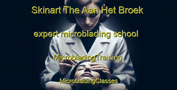 Skinart The Aan Het Broek expert microblading school | #MicrobladingTraining #MicrobladingClasses #SkinartTraining-Netherlands