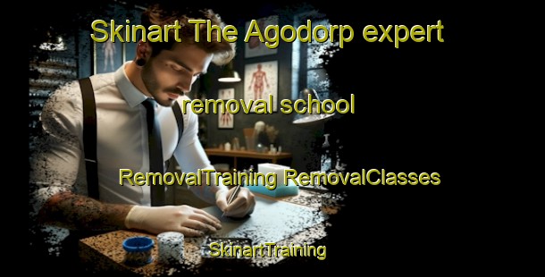 Skinart The Agodorp expert removal school | #RemovalTraining #RemovalClasses #SkinartTraining-Netherlands