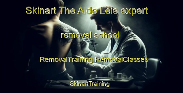 Skinart The Alde Leie expert removal school | #RemovalTraining #RemovalClasses #SkinartTraining-Netherlands