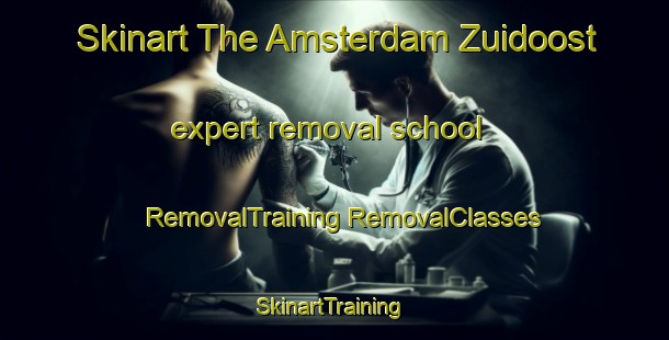 Skinart The Amsterdam Zuidoost expert removal school | #RemovalTraining #RemovalClasses #SkinartTraining-Netherlands