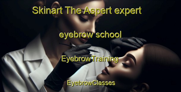 Skinart The Aspert expert eyebrow school | EyebrowTraining | EyebrowClasses | SkinartTraining-Netherlands