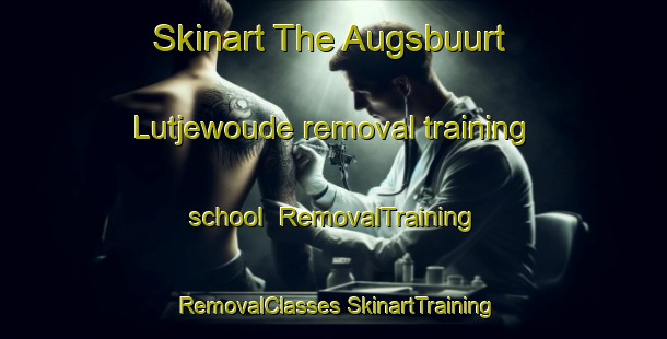 Skinart The Augsbuurt Lutjewoude removal training school | #RemovalTraining #RemovalClasses #SkinartTraining-Netherlands