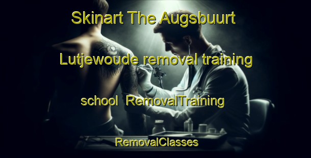 Skinart The Augsbuurt Lutjewoude removal training school | RemovalTraining | RemovalClasses | SkinartTraining-Netherlands