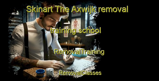 Skinart The Axwijk removal training school | RemovalTraining | RemovalClasses | SkinartTraining-Netherlands