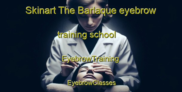 Skinart The Barlaque eyebrow training school | EyebrowTraining | EyebrowClasses | SkinartTraining-Netherlands
