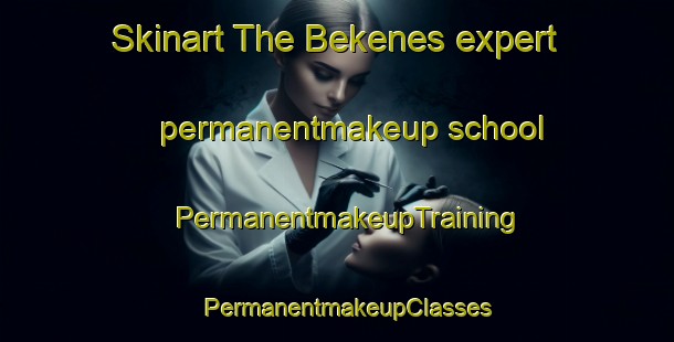 Skinart The Bekenes expert permanentmakeup school | PermanentmakeupTraining | PermanentmakeupClasses | SkinartTraining-Netherlands