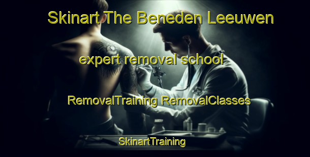 Skinart The Beneden Leeuwen expert removal school | #RemovalTraining #RemovalClasses #SkinartTraining-Netherlands