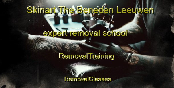 Skinart The Beneden Leeuwen expert removal school | RemovalTraining | RemovalClasses | SkinartTraining-Netherlands