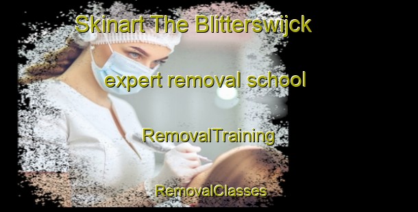 Skinart The Blitterswijck expert removal school | RemovalTraining | RemovalClasses | SkinartTraining-Netherlands