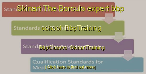 Skinart The Borculo expert bbp school | BbpTraining | BbpClasses | SkinartTraining-Netherlands