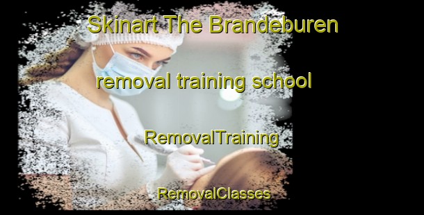 Skinart The Brandeburen removal training school | RemovalTraining | RemovalClasses | SkinartTraining-Netherlands