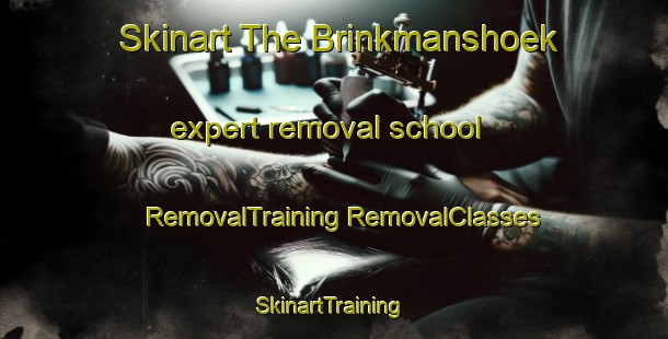 Skinart The Brinkmanshoek expert removal school | #RemovalTraining #RemovalClasses #SkinartTraining-Netherlands