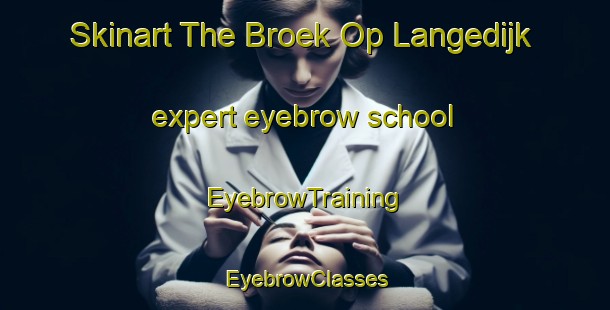 Skinart The Broek Op Langedijk expert eyebrow school | EyebrowTraining | EyebrowClasses | SkinartTraining-Netherlands