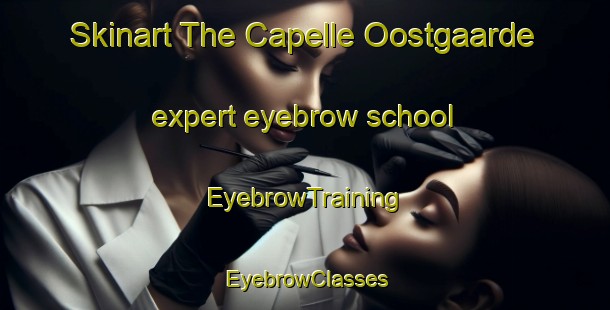 Skinart The Capelle Oostgaarde expert eyebrow school | EyebrowTraining | EyebrowClasses | SkinartTraining-Netherlands