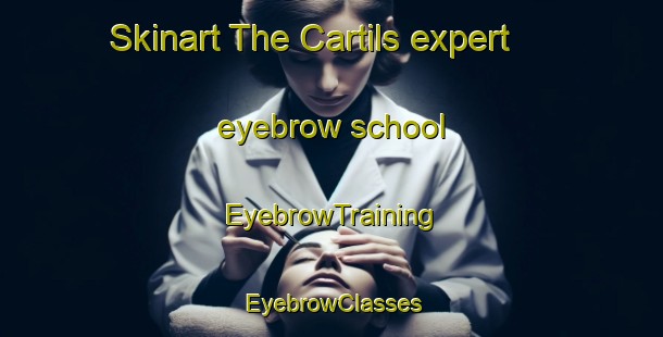 Skinart The Cartils expert eyebrow school | EyebrowTraining | EyebrowClasses | SkinartTraining-Netherlands