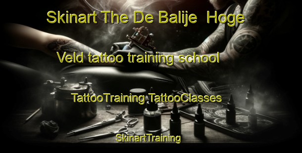 Skinart The De Balije  Hoge Veld tattoo training school | #TattooTraining #TattooClasses #SkinartTraining-Netherlands